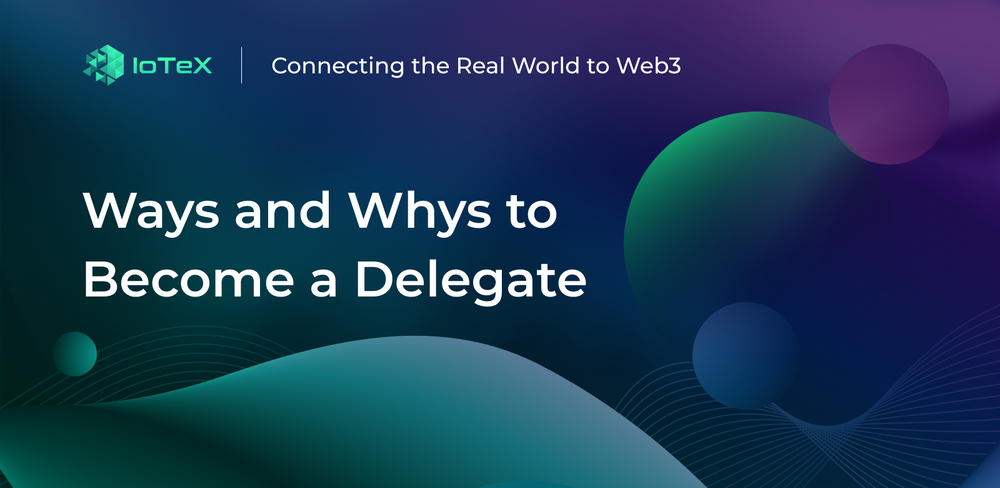 Ways and Whys to Become a Delegate