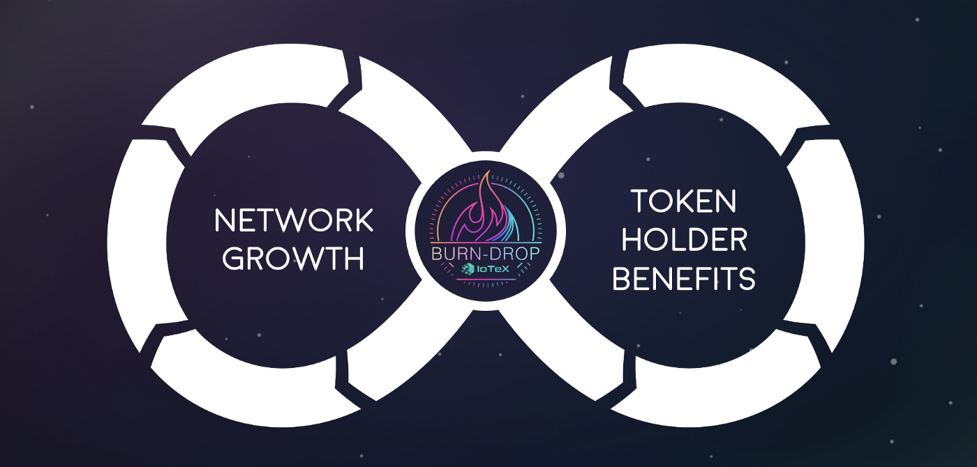 Image: Network Growth and Token Holder Benefits