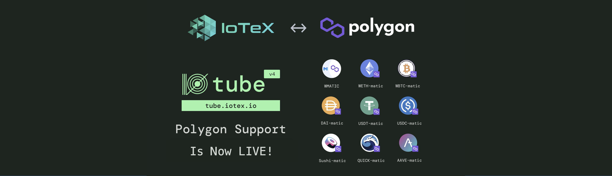 ioTube v4: IoTeX ↔ Polygon (Matic) Cross-Chain Token Swaps Are LIVE