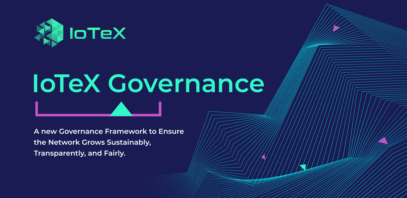 IoTeX Governance