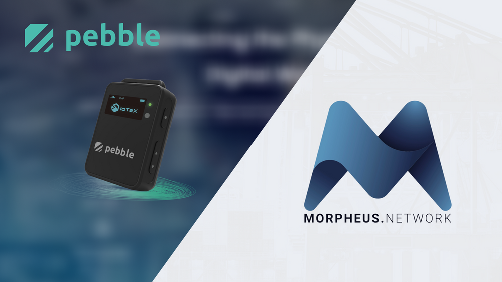 Pebble Tracker + Morpheus.Network Disrupt Supply Chain