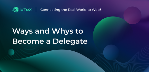 Ways and Whys to Become a Delegate