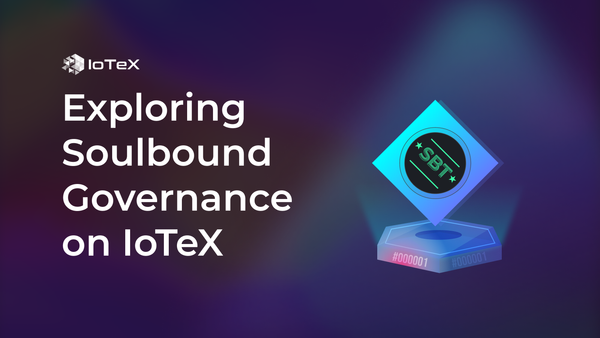 Exploring Soulbound Governance on IoTeX