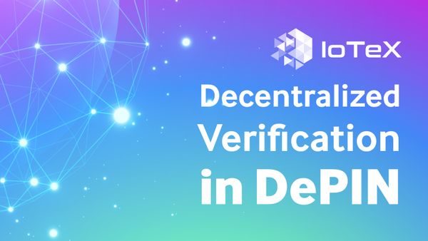 Decentralized Verification in DePIN